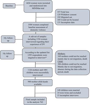 Multi-level analysis of the determinants of physical domestic violence against children using longitudinal data from MINIMat mother–child cohort in Bangladesh